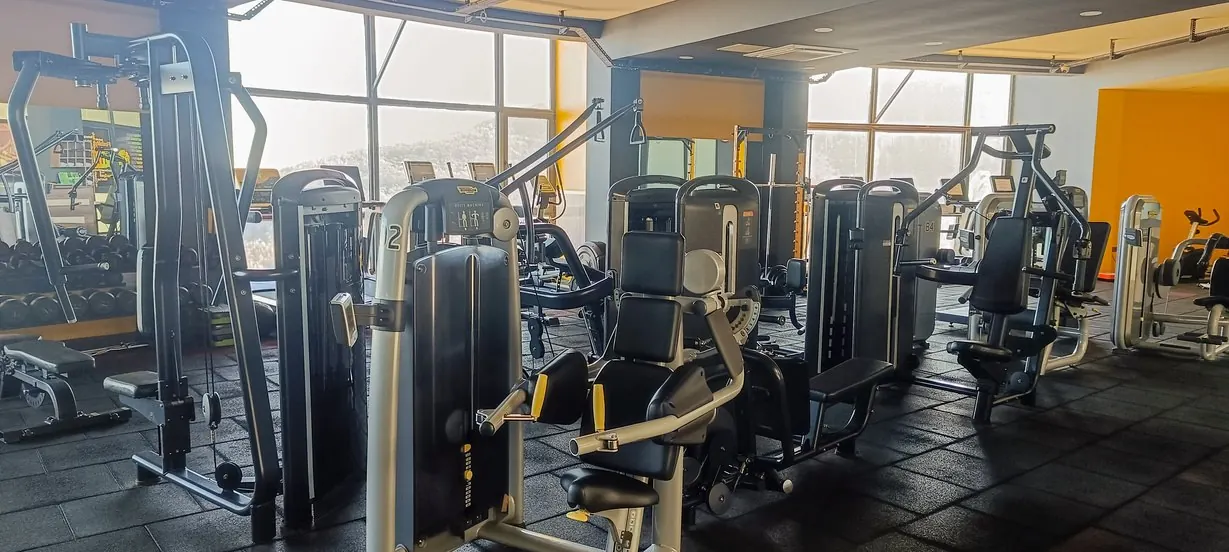 Panatta